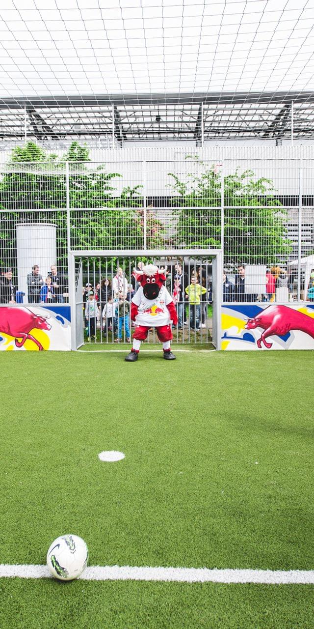 11bullscorner-kindergeburtstagBolzkaefig.jpg